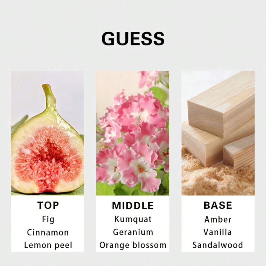 Guess Seductive Homme Redmen E - Fragrance Perfume Usa avaliação e preço